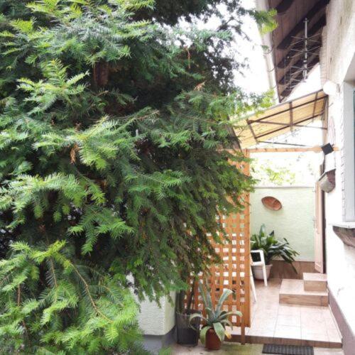 Agave Apartman Velence Exterior foto